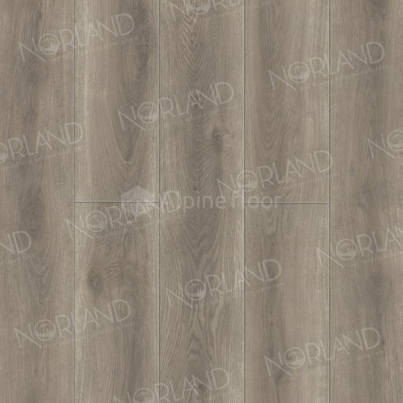 SPC Ламинат "Norland" Templet (1220*196*8 мм) — купить в Москве