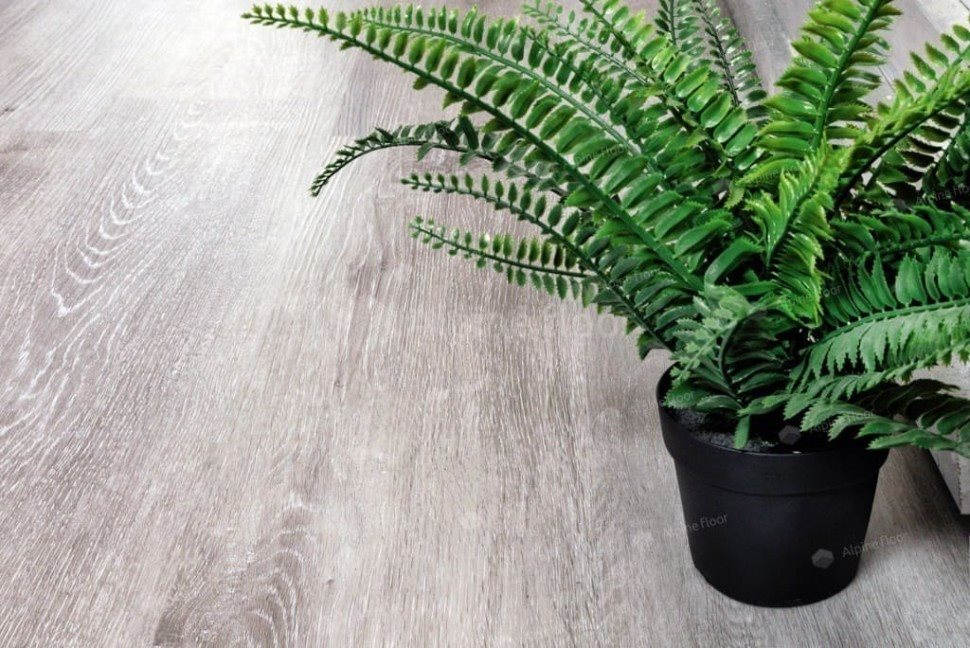 Виниловый ламинат "Alpine Floor" Classic Light MC Ясень Серый (1220*183*3,5 мм) — купить в Москве